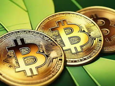 The investment giant Nilam Resources is planning a major Bitcoin purchase