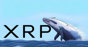 XRP Whales Accumulate $55 Million in 2 Weeks: What Does This Mean?